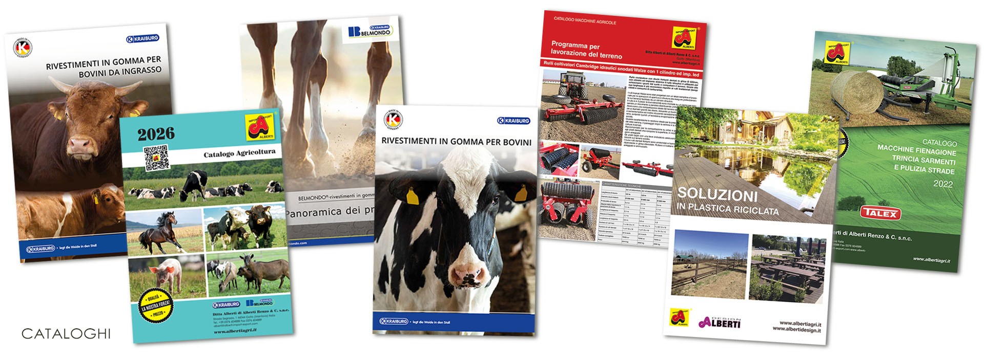 Cataloghi Alberti in formato pdf da scaricare